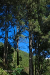 WhatsApp Image 2025-07-06 at 22.47.15_ceb76f59